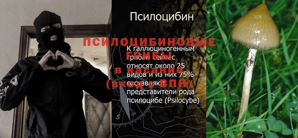 герыч Абаза