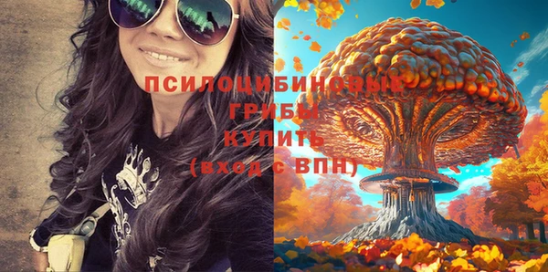 крисы Абдулино
