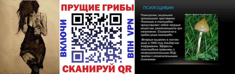 Галлюциногенные грибы Psilocybe  гидра как зайти  Кострома 