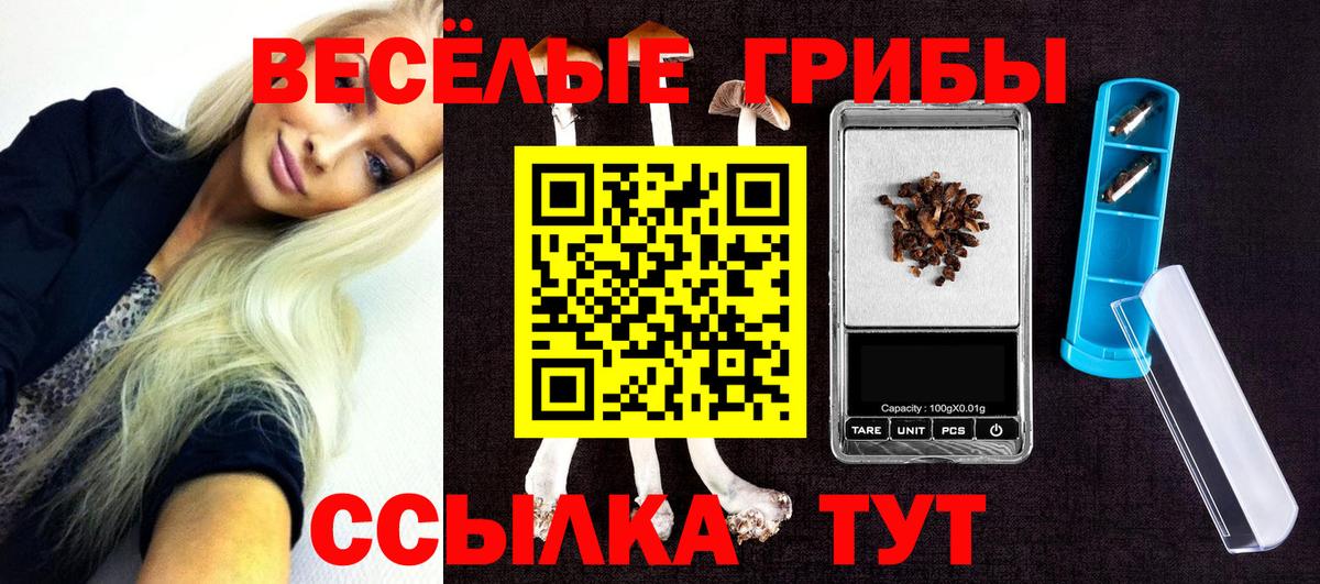 Псилоцибиновые грибы прущие грибы Кострома