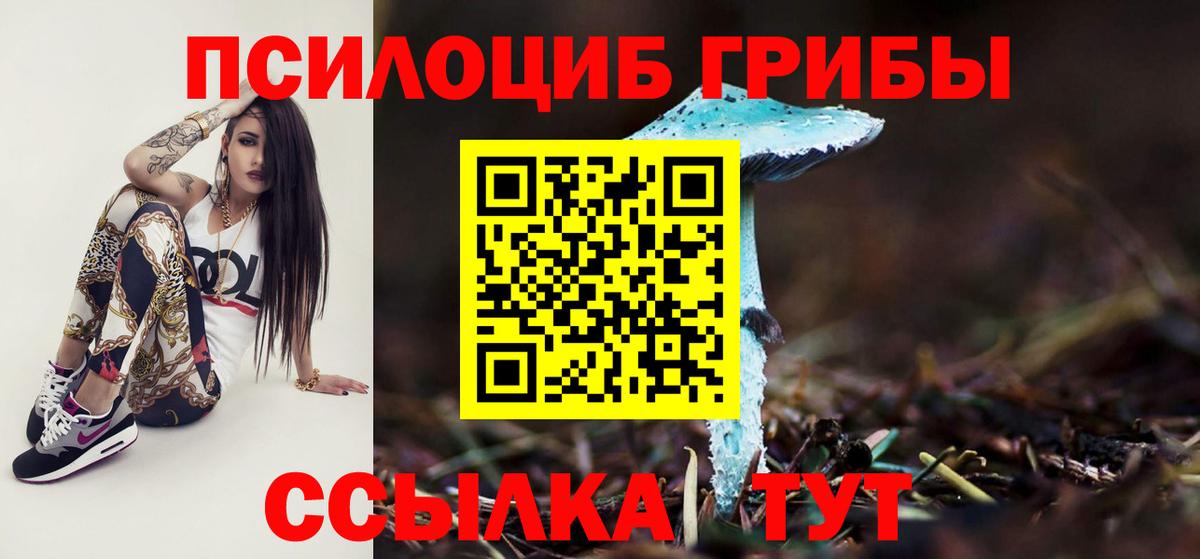 Псилоцибиновые грибы GOLDEN TEACHER  Псилоцибиновые грибы Cubensis  Вход с VPN  Кострома 